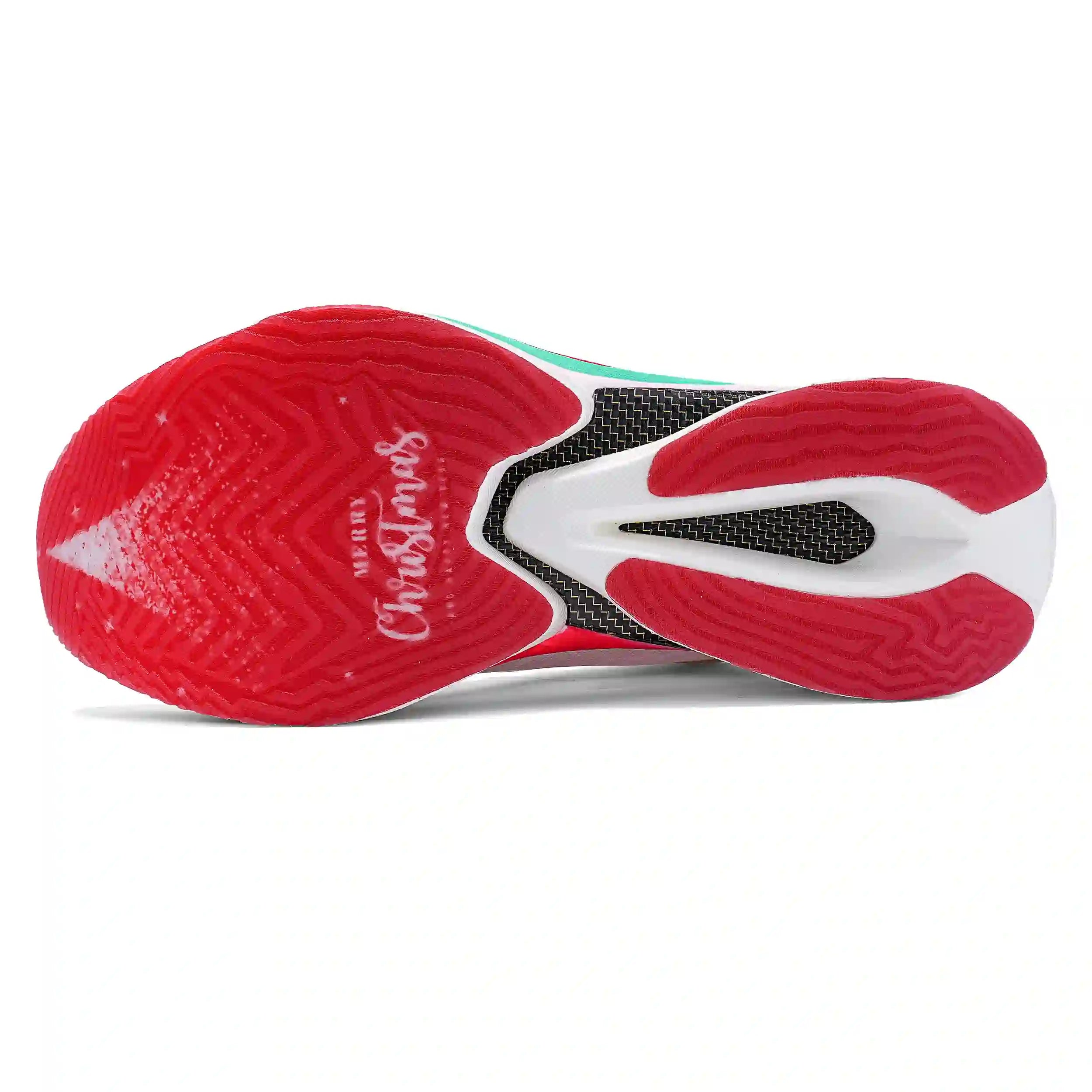 Shadow Wing 2.0+ Carbon Plated Marathon Shoes