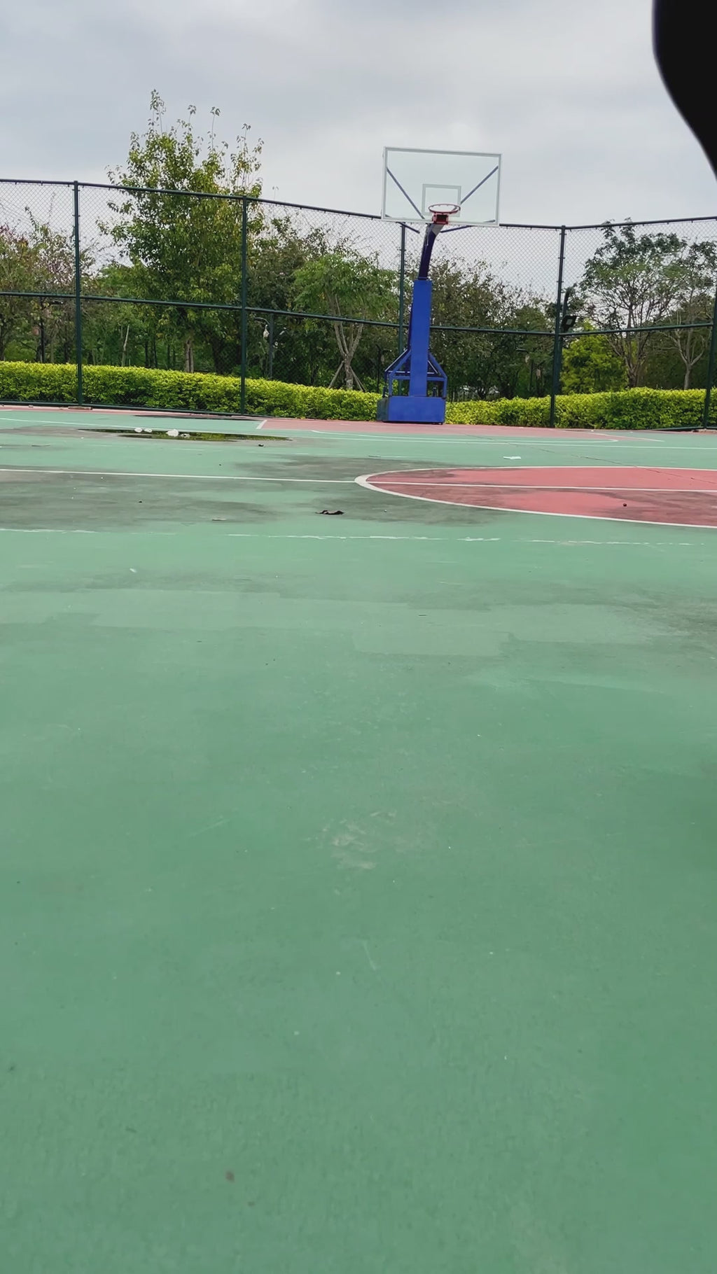 PEPTIDE B 105° 1.0 10KM+ Carbon Plated Road Running Shoes